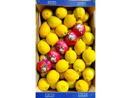 WhatsApp Image 2026 03 11 at 06.41.10