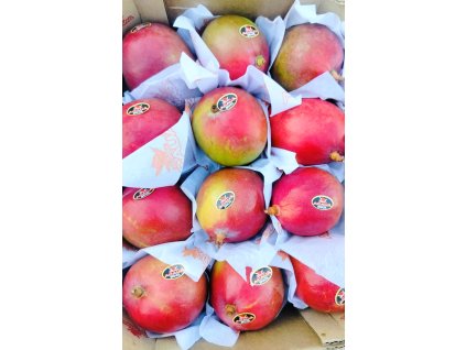 08d2b669 2f42 4884 9579 146c42b345d9