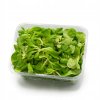 SALATA ROSZPONKA (1)
