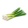 Spring onion bunch
