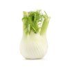 fennel