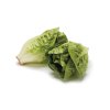 little gem lettuce scaled