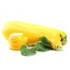 zucchini