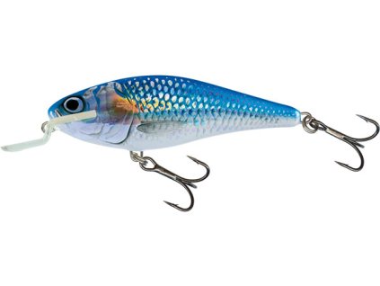 Vobler Salmo EXECUTOR 12 SR Holoshiner F