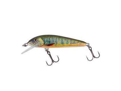 Vobler Salmo Minnow 5 Lake Chartrause Sinking