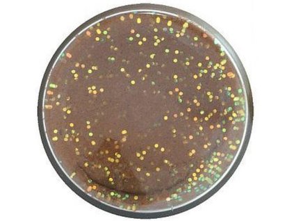 Cestíčko Berkley PowerBait Fish Pellet Glitter