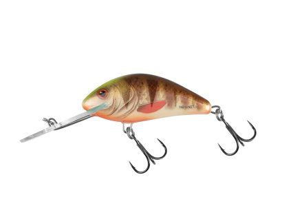 Vobler Salmo Hornet 6 Spotted Brown Perch Floating