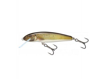 Vobler Salmo Minnow 7 Grayling Sinking