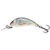Vobler Salmo Hornet 3,5 Real Dace