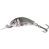 Vobler Salmo Hornet 3 Holographic Grey Shiner Floating