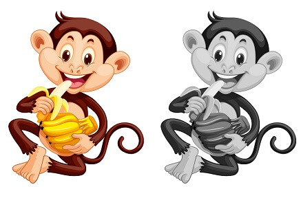 Jak nakreslit opici?