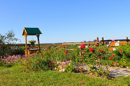 Jak vyčistit studnu?