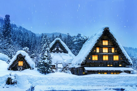 Jak vypadá dřevomorka?