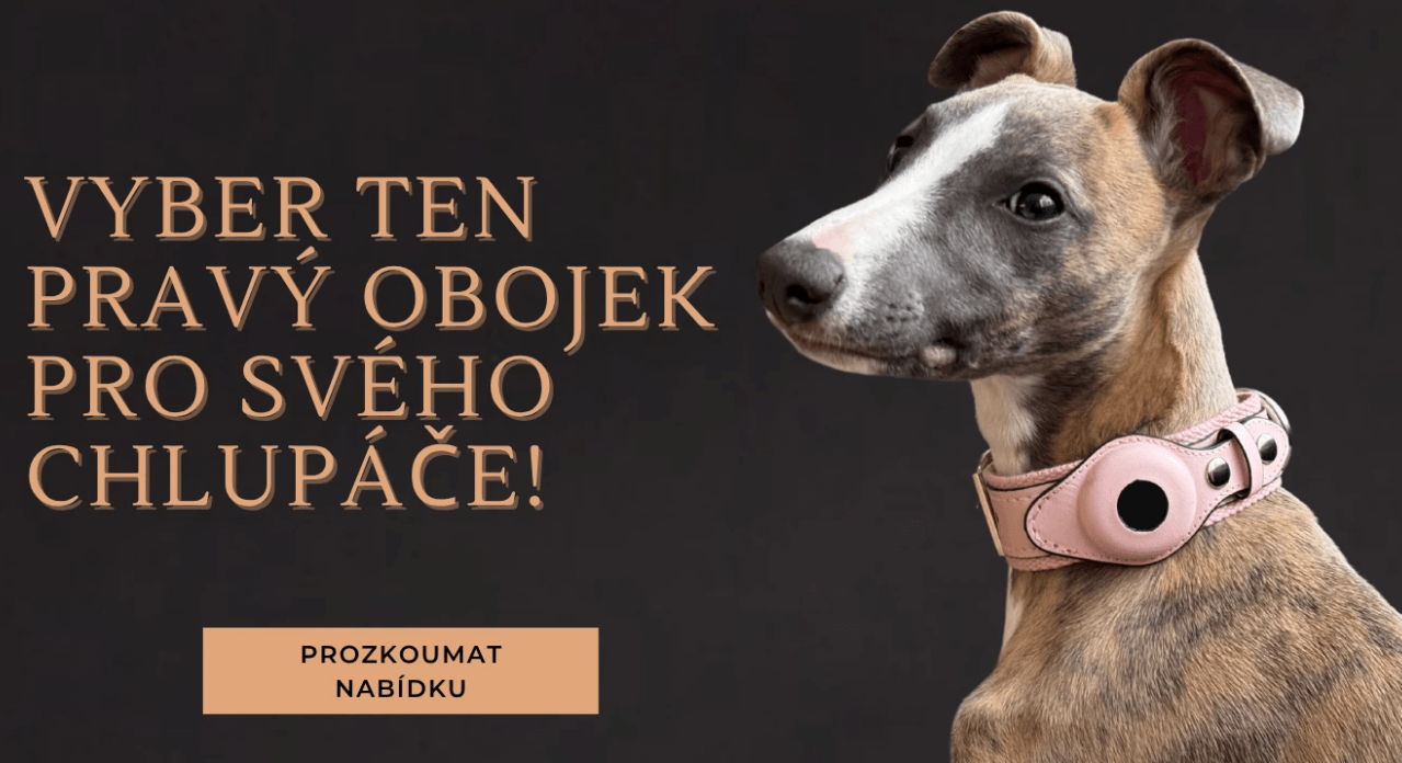 Petify recenze: malý český petshop, který má psí duši