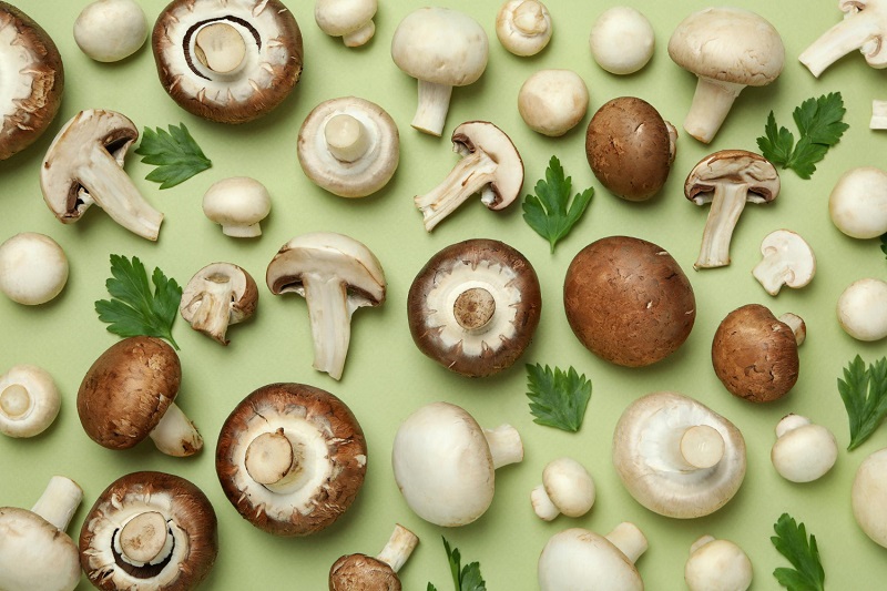 Které houby jsou nejlepší na sušení?