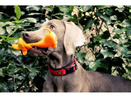 Lanco pets - Hračka pro psy - Aportovací hračka pejsek