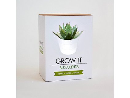 Grow it - sukulent