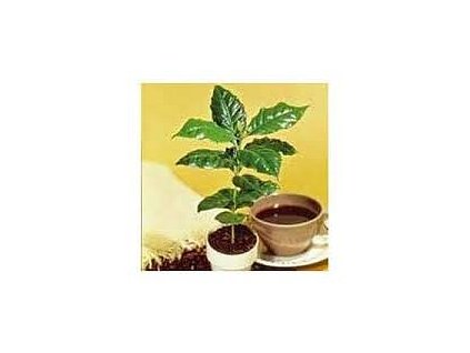 Grow me: Vlastní káva