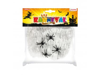 Pavoučí síť s pavouky