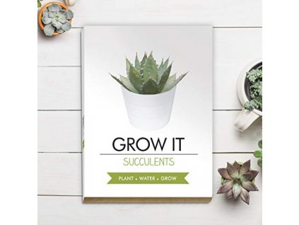Grow it - sukulent