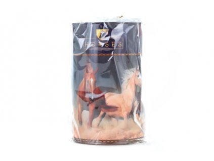 Pokladnička kovová - koně