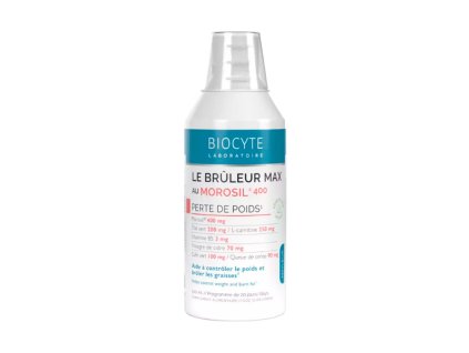 LE BRULEUR MAX AU MOROSIL