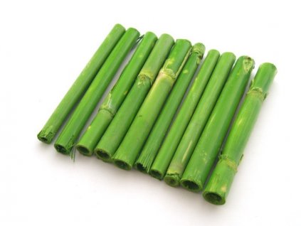 Bambus světle zelený 10 cm