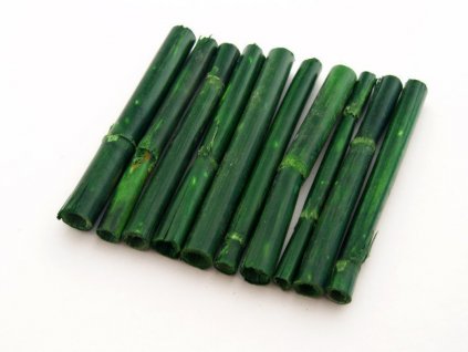 Bambus tmavě zelený 10 cm