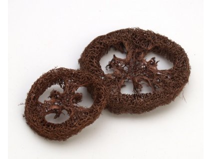 Luffa hnědá