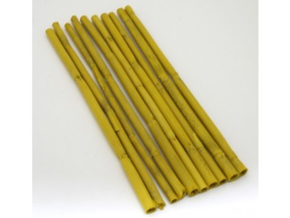 Bambus žlutý 40 cm