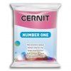 pate polymere cernit (8)