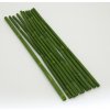 Bambus světle zelený 40 cm