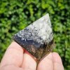 Pyramida