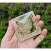 Pyramida léčení fosforuje