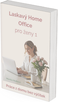 lasakavý home office pro ženy