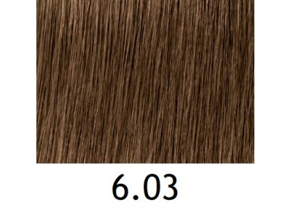 Farba Indola 60 ml 6.03