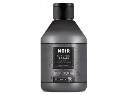 Black Noir Repair Shampoo šampón na vlasy 300 ml