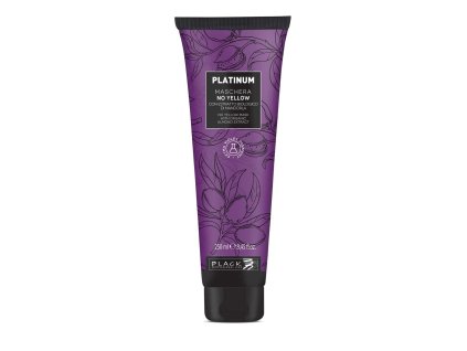 Black Professional Platinum No Yellow Mask maska na vlasy s fialovými pigmentmi 250 ml