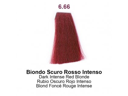3514 1 farba nouvelle 6 66 100 ml