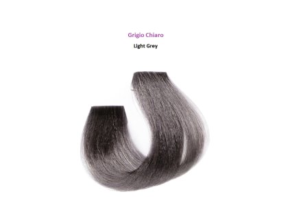 1888 1 farba silky technobasic svetlo siva 100 ml