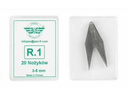 r1 1