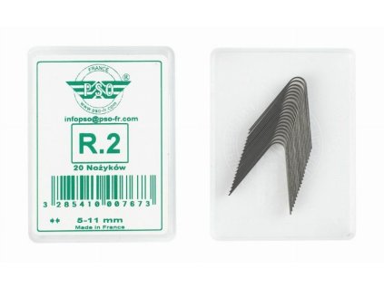 r2 1