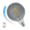LED žárovka GLOBE E 27 230V 4,9W COG 230V CCT (4000K 6500K)+DIM Wi Fi BT SMART, SPECTRUM WOJ14559