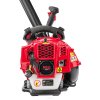 Benzínový batohový foukač na listí a sníh 3,8HP, RED TECHNIC RTODL0059 10