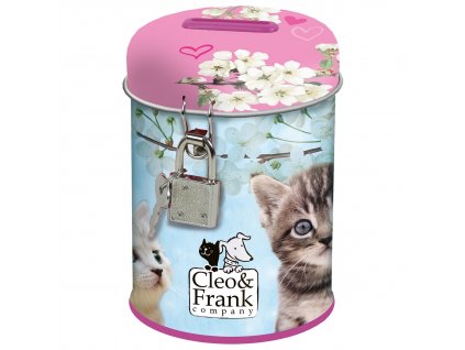 Mačiatka (D) pokladnička ružová