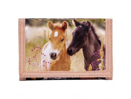 Koník (D) peňaženka Duo