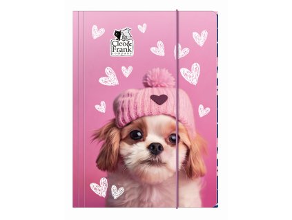 Šteniatka (D) odkladacia mapa s gumkou A4 ružová