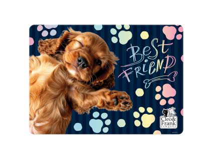 %7B0449A1AF 5418 4DAA AD9A 507697C14A1A%7D V