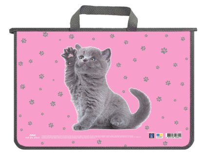 %7B7D89D71E 295F 4342 9166 671F3E2586EF%7D V