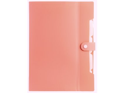 %7BBC1373A4 83DD 43DD B91D 1F1B01EA9EA1%7D V